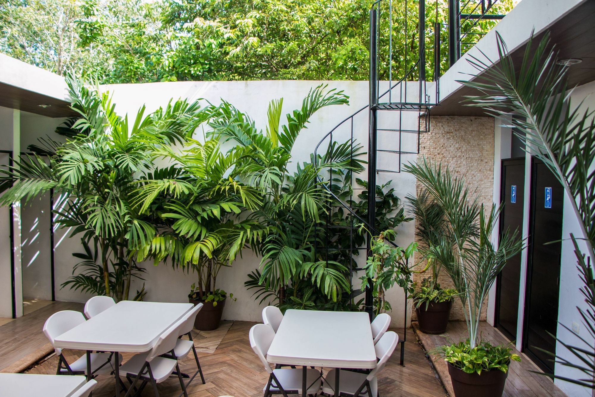 Hostal Gayser วัลลาโดลิด ภายนอก รูปภาพ